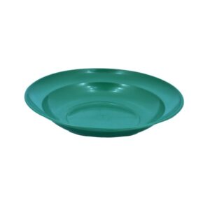 football plate green