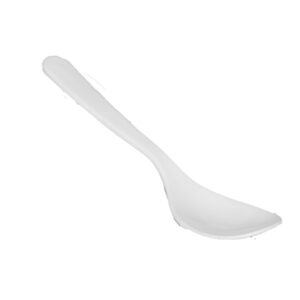 safari spoon (2)